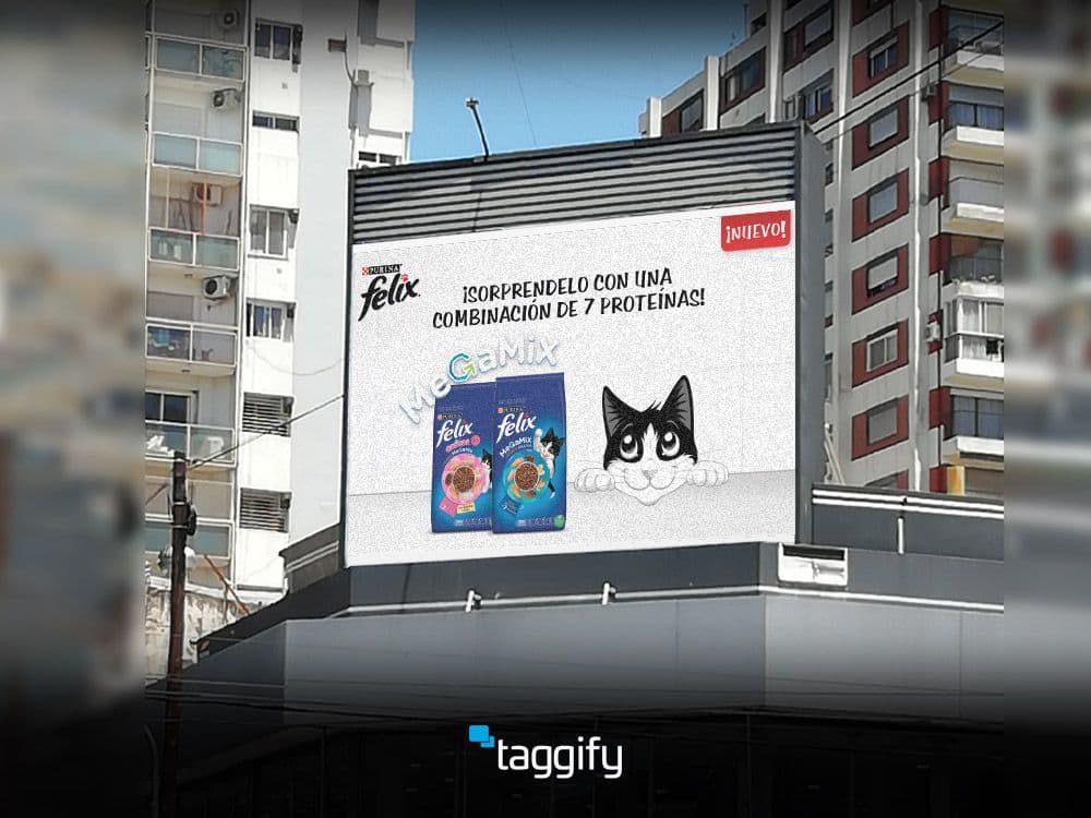 Llegó Felix Dry: el nuevo alimento balanceado para gatos de Purina — Imagen 1