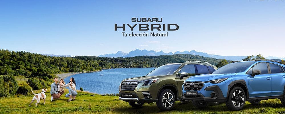 La impresionante campaña DOOH de Subaru en Colombia con Taggify