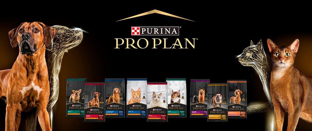Purina Pro Plan: formula that stops aging