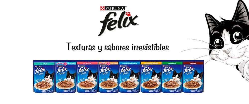 Llegó Felix Dry: el nuevo alimento balanceado para gatos de Purina