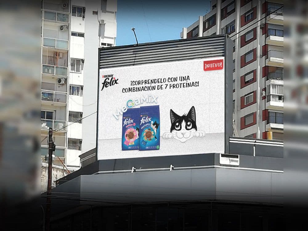 Llegó Felix Dry: el nuevo alimento balanceado para gatos de Purina