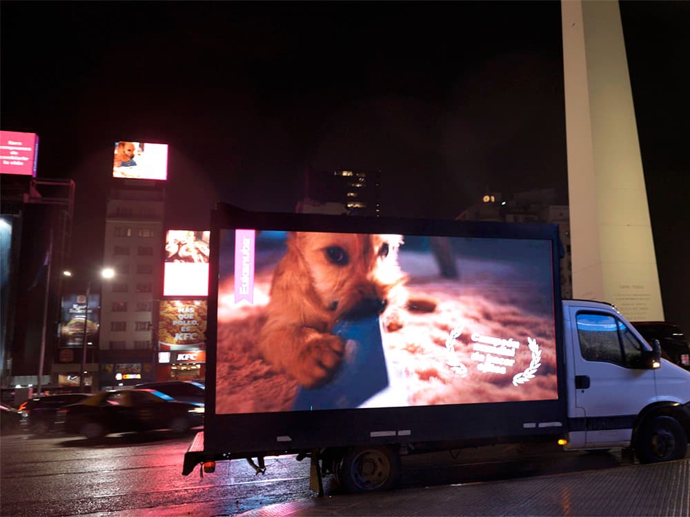 Eukanuba Takes Over the Obelisk in an Exclusive Campaign with Taggify